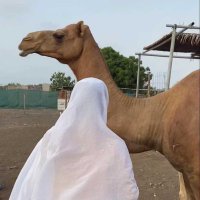 نُــهى 🎈٠ (@naha7_) 's Twitter Profile