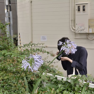 庭師 「ヒタキ 」 / 写真絵本 『 微花 』@kasuka___ / 連載「すべての ひとに 庭が ひつよう」: https://t.co/PZjJfCP5cl