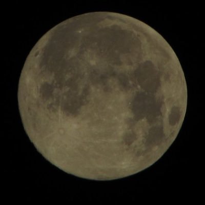 rrawllssk's profile picture. ANYTHING atp