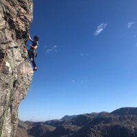 Matt Arnold 🔬 (@matt_arnold_bio) 's Twitter Profile