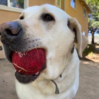 Darlene galusha (@galushadarlene) 's Twitter Profile Photo