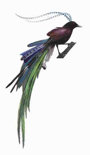 JackdawShivers's profile picture. A small press. A concept, I stress. An artistically relevant space. A word place. A hub for creativity. A home for you and me.