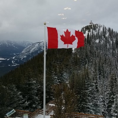 Options Trader, Sports Bettor, Canadian Nationalist