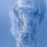 ryanrobuck's profile picture. Cyclones | Outdoors