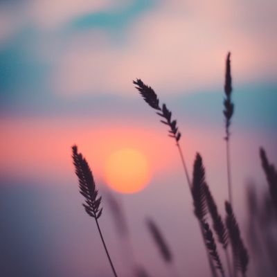 cursingmyname13's profile picture. 