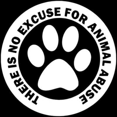 Nicole 🌱Ⓥ (@AnimalCareNI) / Twitter Nicole 🌱Ⓥ (@AnimalCareNI) / Twitter