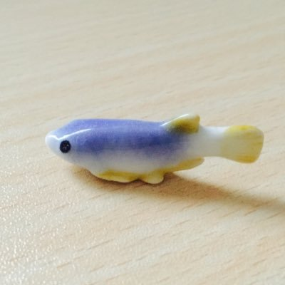 idg2🐟さんのプロフィール画像