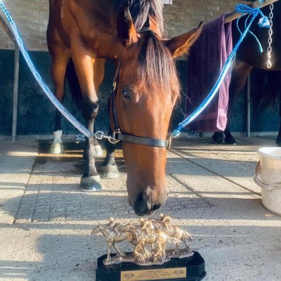 Wangaratta Turf Club Profile