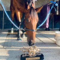 Wangaratta Turf Club (@wangarattatc) 's Twitter Profile