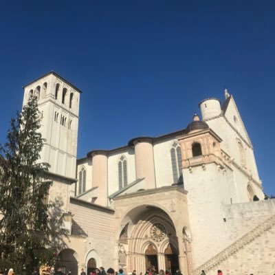 carlos1arcos's profile picture. 🦂♏️