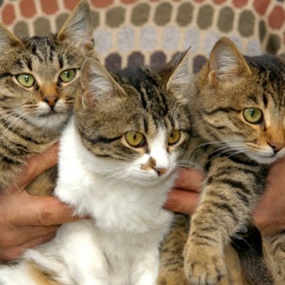 lewah74211138's profile picture. young always!