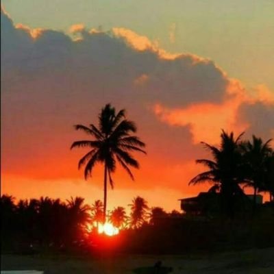 likomamayapa's profile picture. 