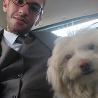 abdelrhman shaalan (@caesar65777502) 's Twitter Profile