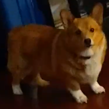 TinyTim07's profile picture. United States Patriotic citizen who's not happy with destruction of our world .