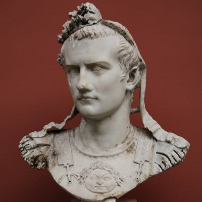 CaligulaCapital's profile picture. Made my horse CFO of a portco to fight inflation