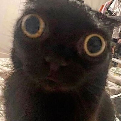 AbbyDarlingggg's profile picture. Hi
Lololol