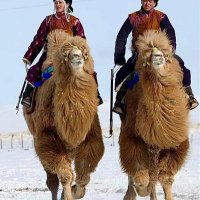 Pk2brak (@pdebraqgs) 's Twitter Profile