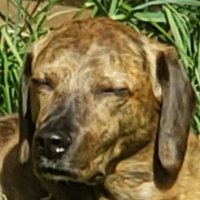 Gregzilla (@gbaker182) Twitter profile photo
