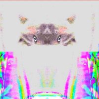 Vladimir Chicas (@vladimircre8s) 's Twitter Profile