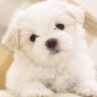 lprdosmil's profile picture. A veces la ficción muestra lo que la realidad pretende ocultar.