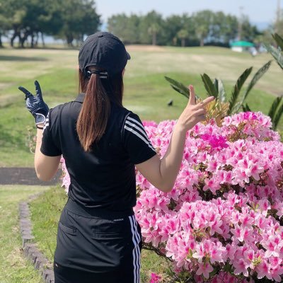 golf_maimai Profile Picture