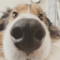 YUUUUUUno (@yukimomotea) Twitter profile photo