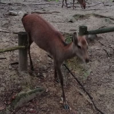 yundraさんのプロフィール画像