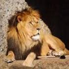 JustWatching3's profile picture. 