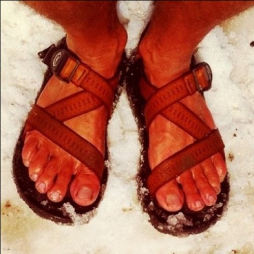 lanceheaton's profile picture. love business as an entrepreneur/converted organic seedman/big family/awesome wife/alta pow/grand canyon backpacking/marathons/powell