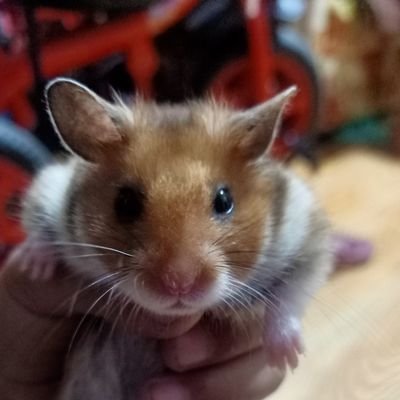 MacelMendez's profile picture. 😎🤗💁🏼‍♀