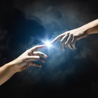 The Healer (@mindbodyhealer1) 's Twitter Profile
