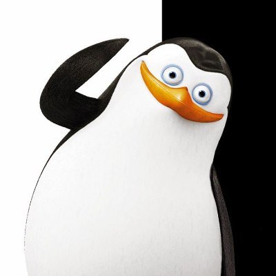 pinny04's profile picture. Learn l