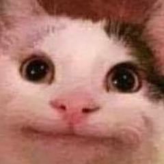 socialne_uaaa's profile picture. Social Anxiety, ADHD and stuff