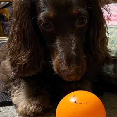 nPLEZc8P4tYBSaw's profile picture. ボブになってもーた笑