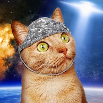 Tinfoil Hat Cat absorbs hate/stupidity and converts it into loving purrs.

Tinfoil Hat Cat speaks in the third person for gravitas.