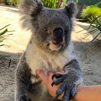 fatninjajoe's profile picture. I'm just me ;)