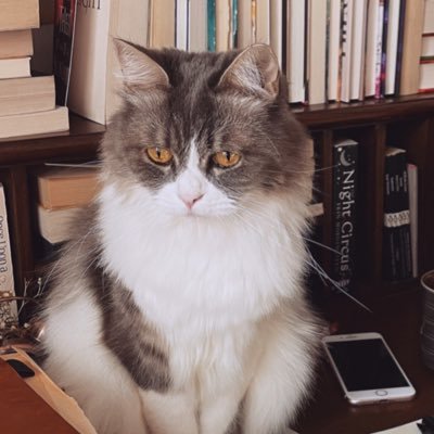 sumaiyyabooks's profile picture. Were you there?