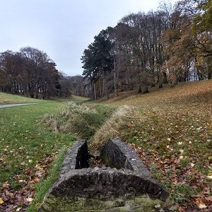 plucadearga's profile picture. Educational content