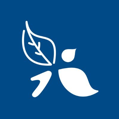 Bird & Blend Tea Co. Profile