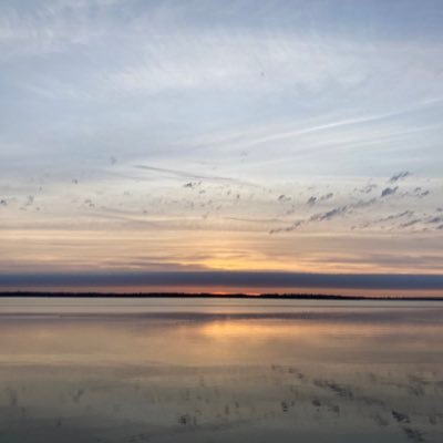 marccomtois's profile picture. “The greatest enemy of knowledge is not ignorance; it is the illusion of knowledge.” - Historian Daniel Boorstin; Gell-Mann Amnesia effect is real.