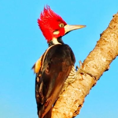 kumarsatfun's profile picture. Strictly NSFW 21+ posts. DMs welcome  . Not all pics are my work and credit to the artist, dm2remove. naughty tasteful eroticism . npure.