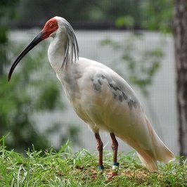 博多生まれの博多っ子です。フォロワーの皆様、いつもありがとうございます🙇🙇

戦争反対！！改憲反対！！日本が武器の輸出をしない永世中立国になることを望みます。