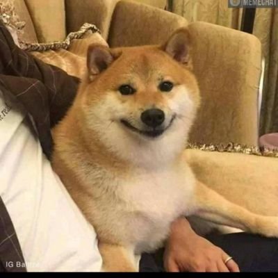 abhishekra2001's profile picture. 