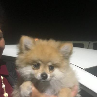 Mt36199460's profile picture. 