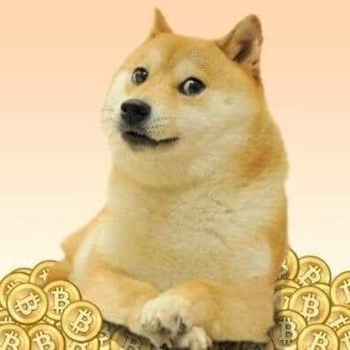 Dogecoin to $1, 2021. Want to buy dogecoin sige in https://t.co/z1hmtIzI5z
