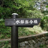 jj7tmm (@jj7tmm) 's Twitter Profile Photo