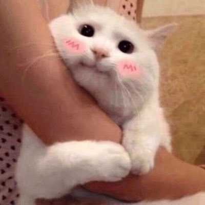 aa_mkp13's profile picture. 🤍N.flying🤍 | Levi Gojo Rengoku Gon Freecss Hisoka Kakashi Naruto 🫶✨