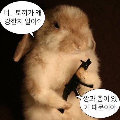 토키さんのプロフィール画像