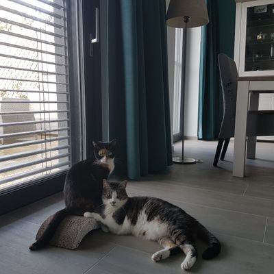 Eevje89's profile picture. 1989, Grunn 💚🤍 | 01/09/17💍| 23/02/25 👶 | Binky & Yuna 🐈 | Aantal volgers (argument) = irrelevant, doet niet aan (terug)volgen 👋 | #lifeofapilotswife ✈️