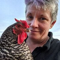 Kat βοΈ=ππ― (@wiltonkat) 's Twitter Profile